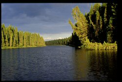 Lake Nipigon Fishing Charters - Onaman River